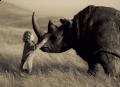 Rhino