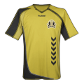 Teams Jersey