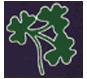 Pumas Logo