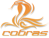 Vipers ALC logo